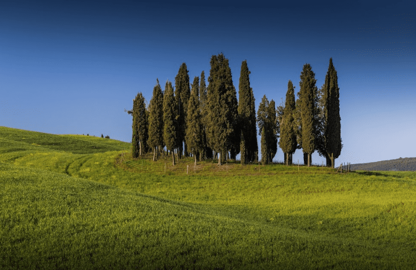 12 Most Instagrammable Places in Tuscany