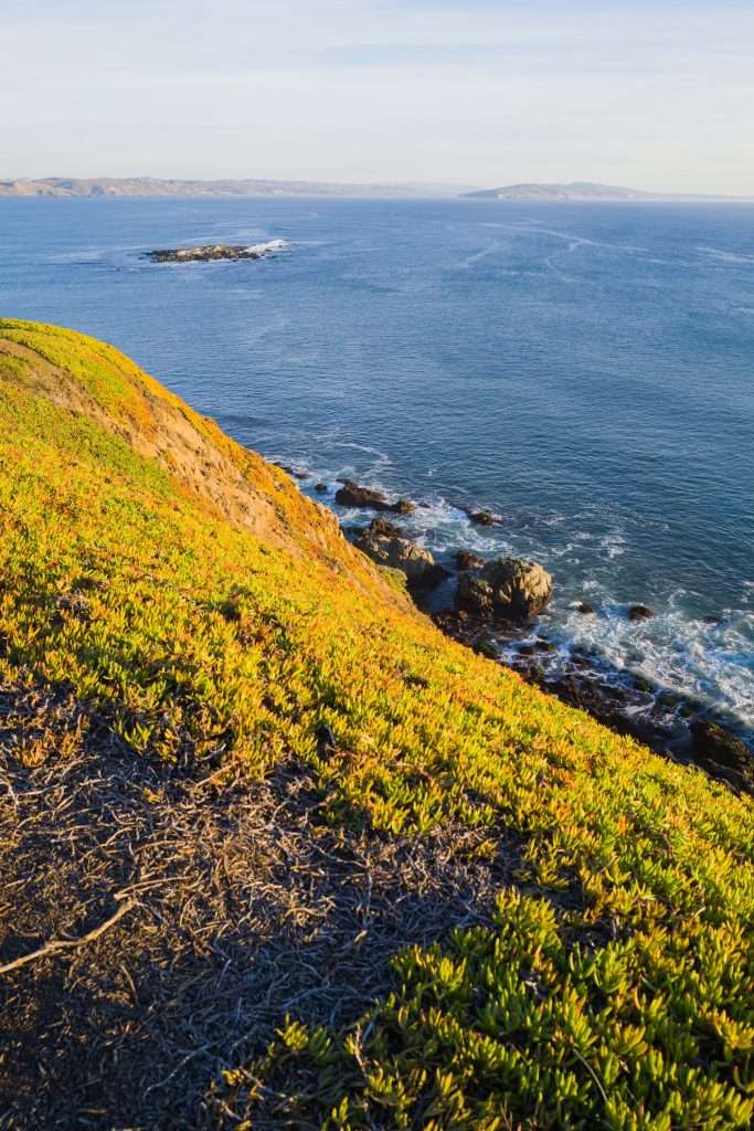 https://cocotran.com/visiting-bodega-bay-best-things-to-do/