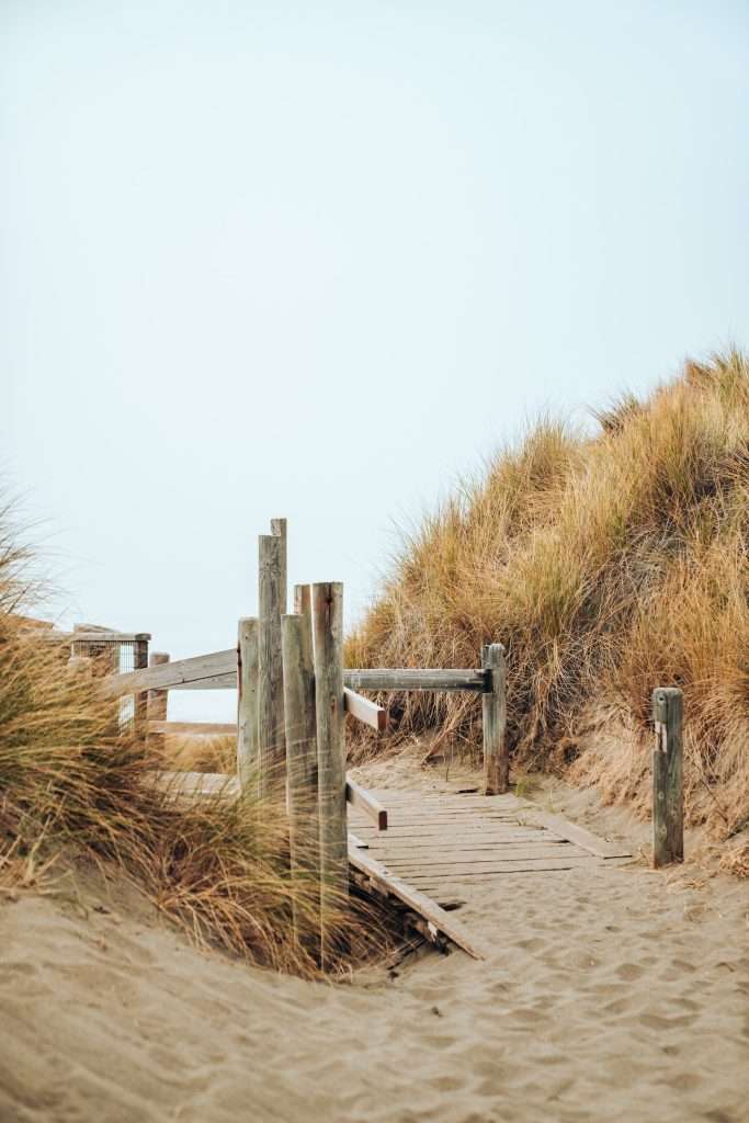 https://cocotran.com/visiting-bodega-bay-best-things-to-do/