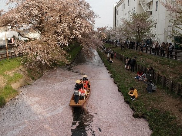 https://cocotran.com/kawagoe-day-trip/