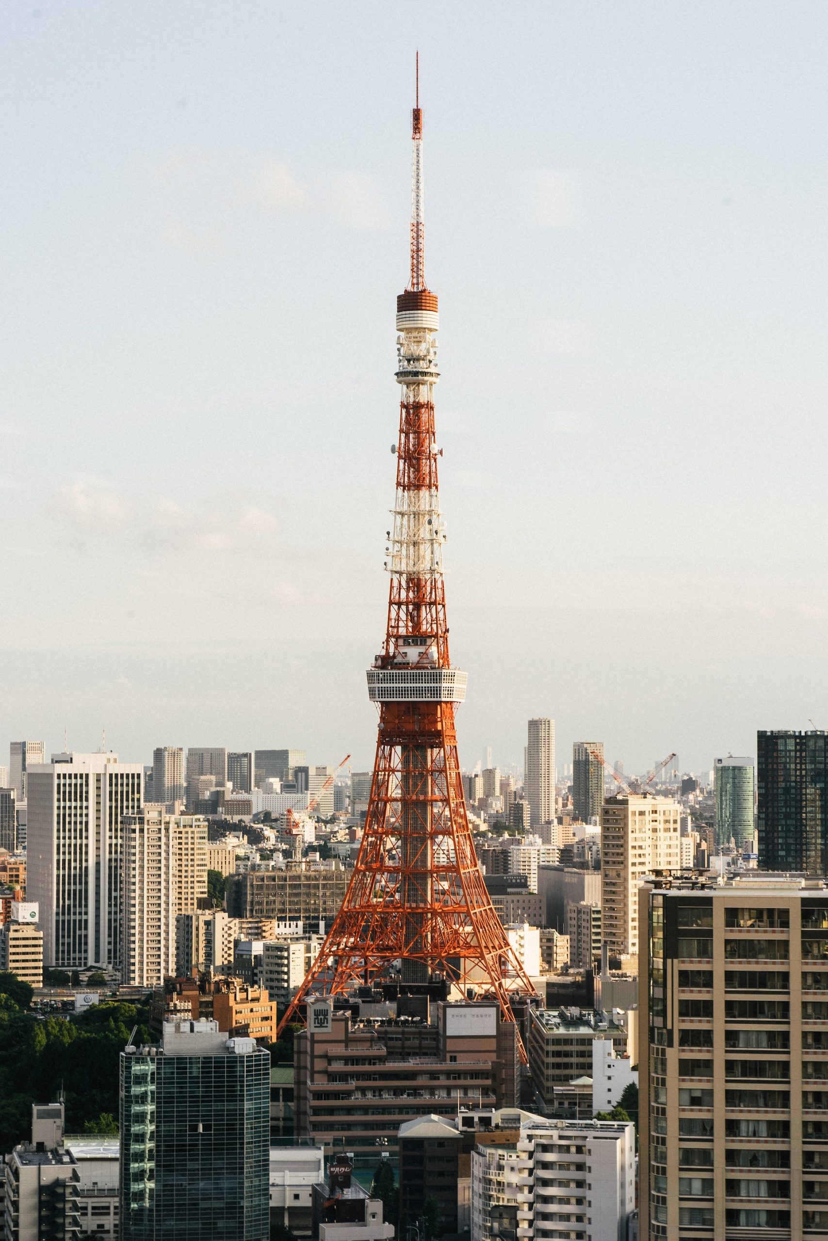 Tokyo tower vs skytree & Visiting Information You need To Know!
