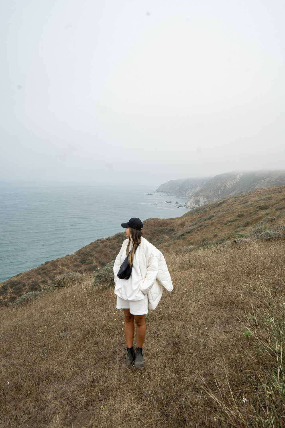 Curated Itinerary: The Ultimate Point Reyes Day Trip (June 2026)