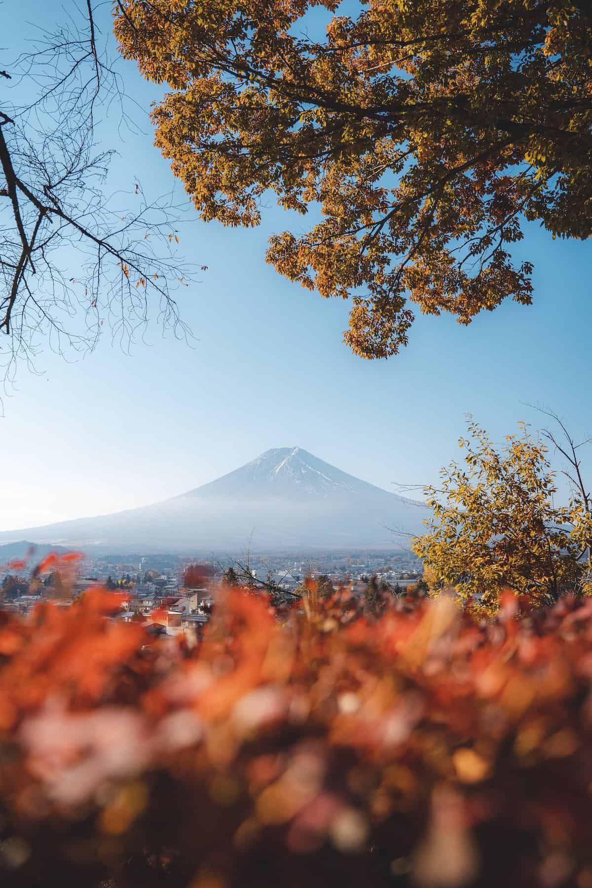 The Ultimate Tokyo to Mount Fuji Day Trip Guide Mount Fuji in Autumn 