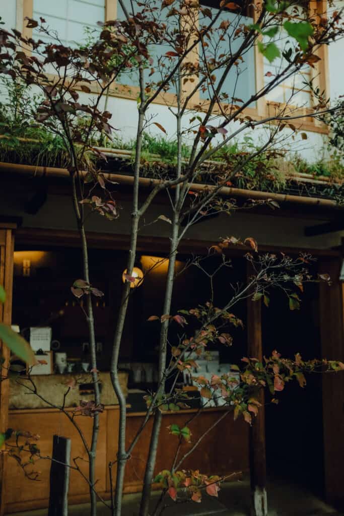 Coco Tran — Aesthetic Travel Blog By Film Photographer Coco Tran https://cocotran.com/best-kyoto-coffee-shops/
