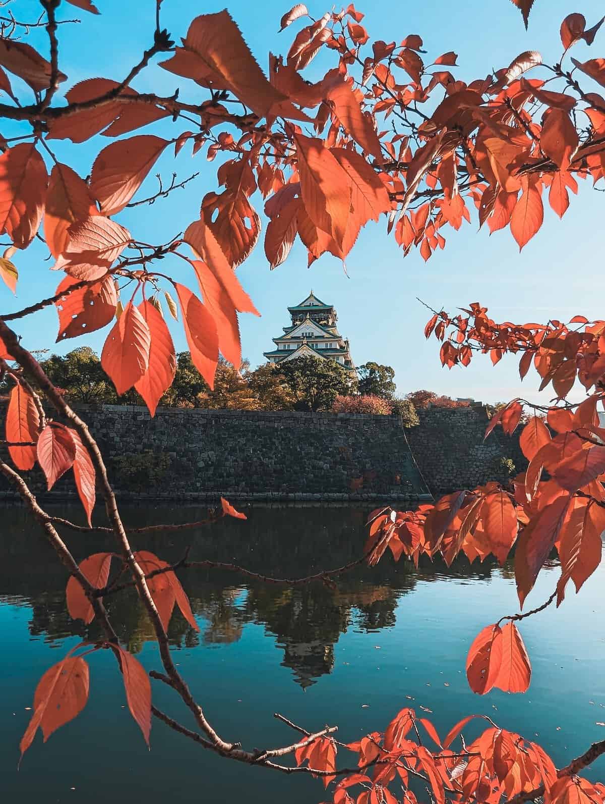 3 DAY osaka itinerary View of Osaka Castle through Maple Leaves