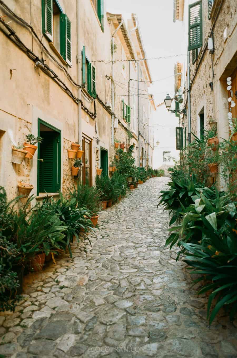 https://cocotran.com/guide-to-visiting-valldemossa-mallorca-spain/