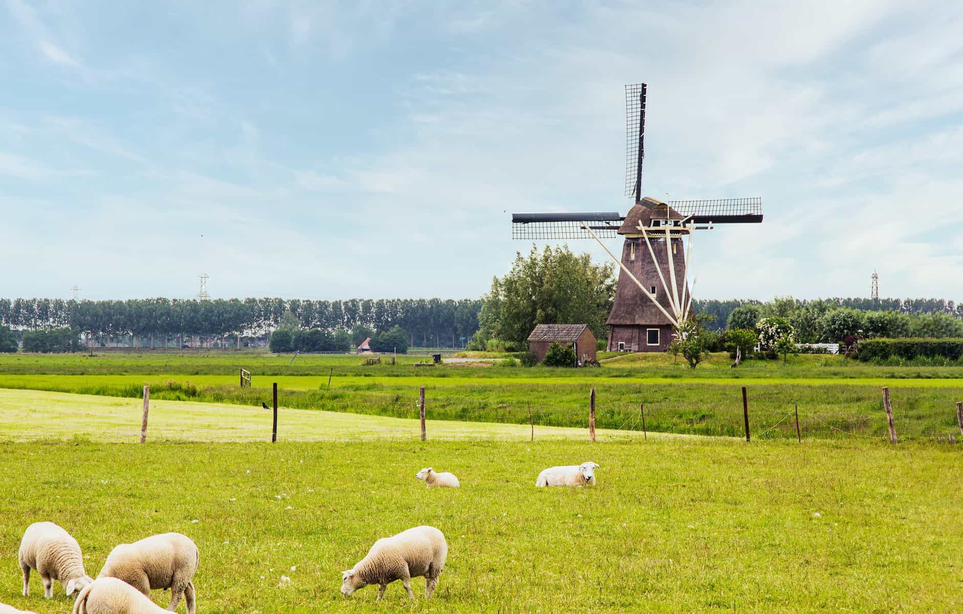 Amsterdam Countryside: A guide to 4 Charming Places to Visit