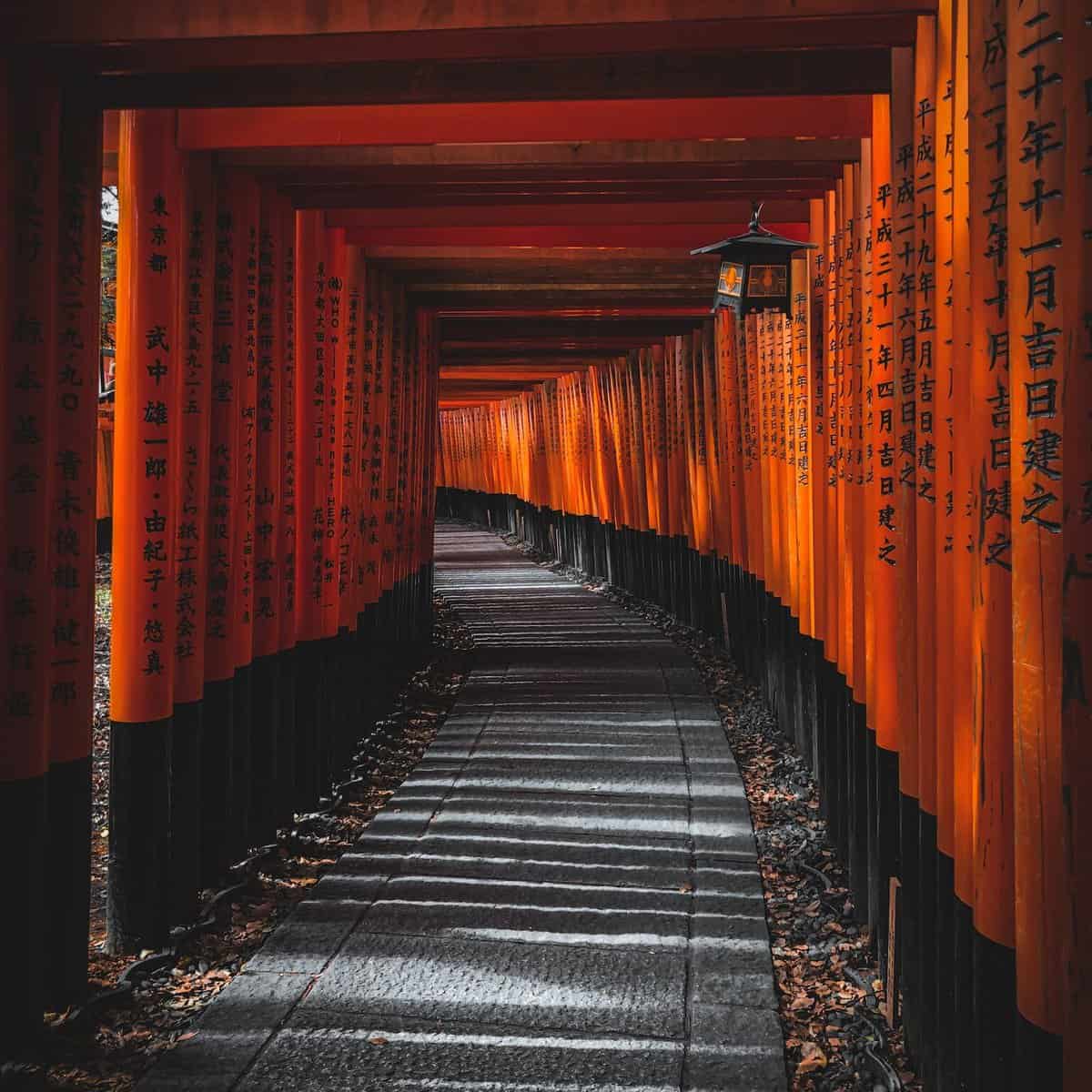 Kyoto 3 day itinerary Fushimi Inari Taisha 3 week japan itinerary