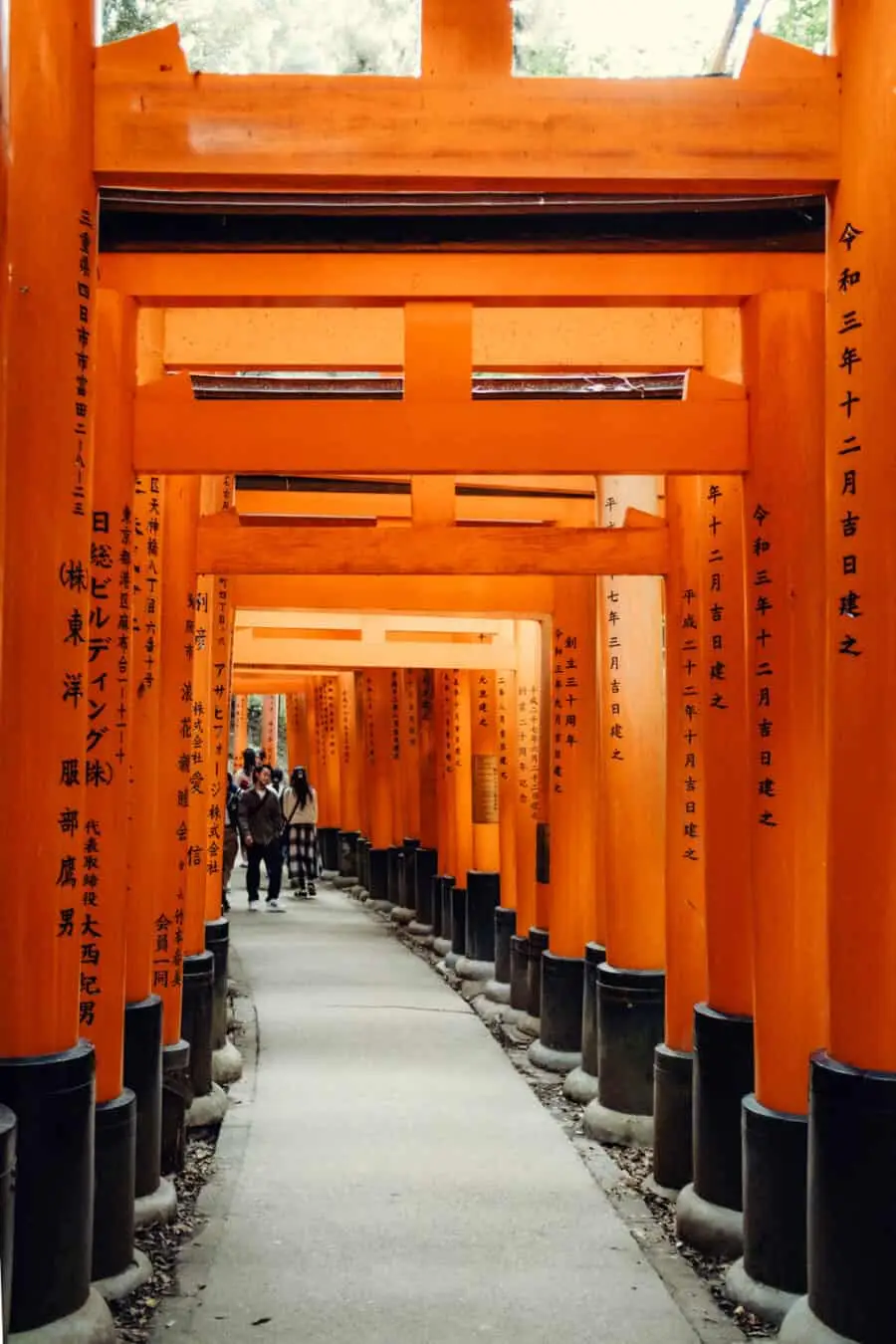(2026) Postcard From Fushimi Inari The vermilion torii gate tunnels at Fushimi Inari, Kyoto