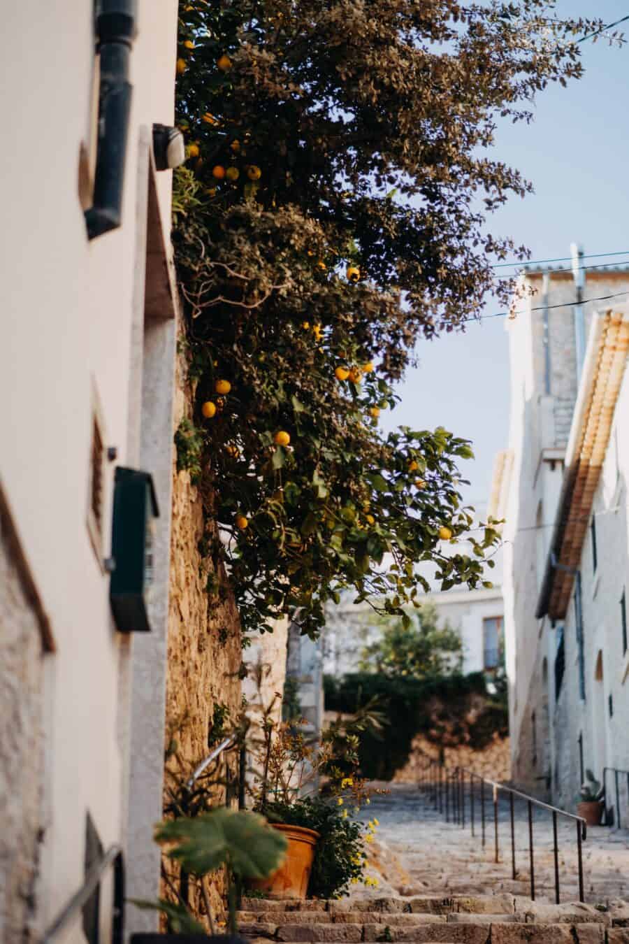 (2026) The Ultimate Guide to Visiting Santanyi Mallorca in Spain https://cocotran.com/santanyi-mallorca-spain/