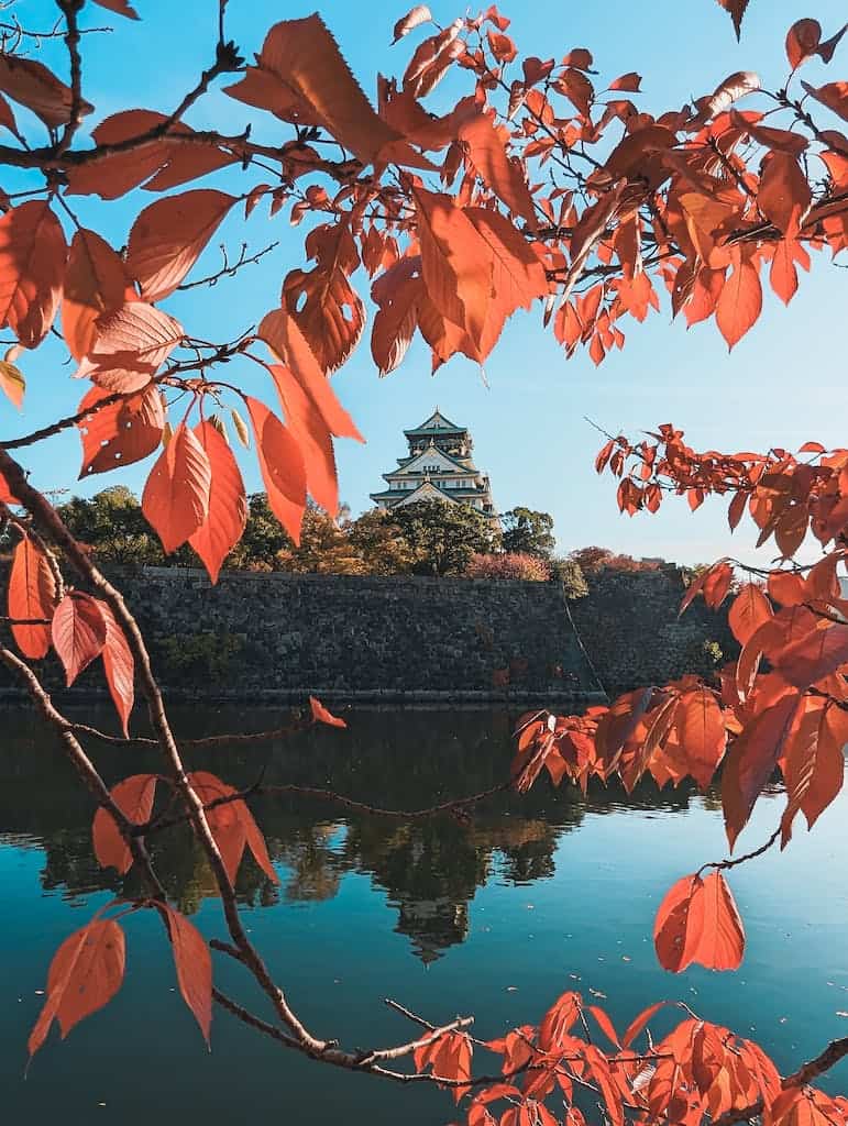 shinkansen tokyo osaka View of Osaka Castle through Maple Leaves
