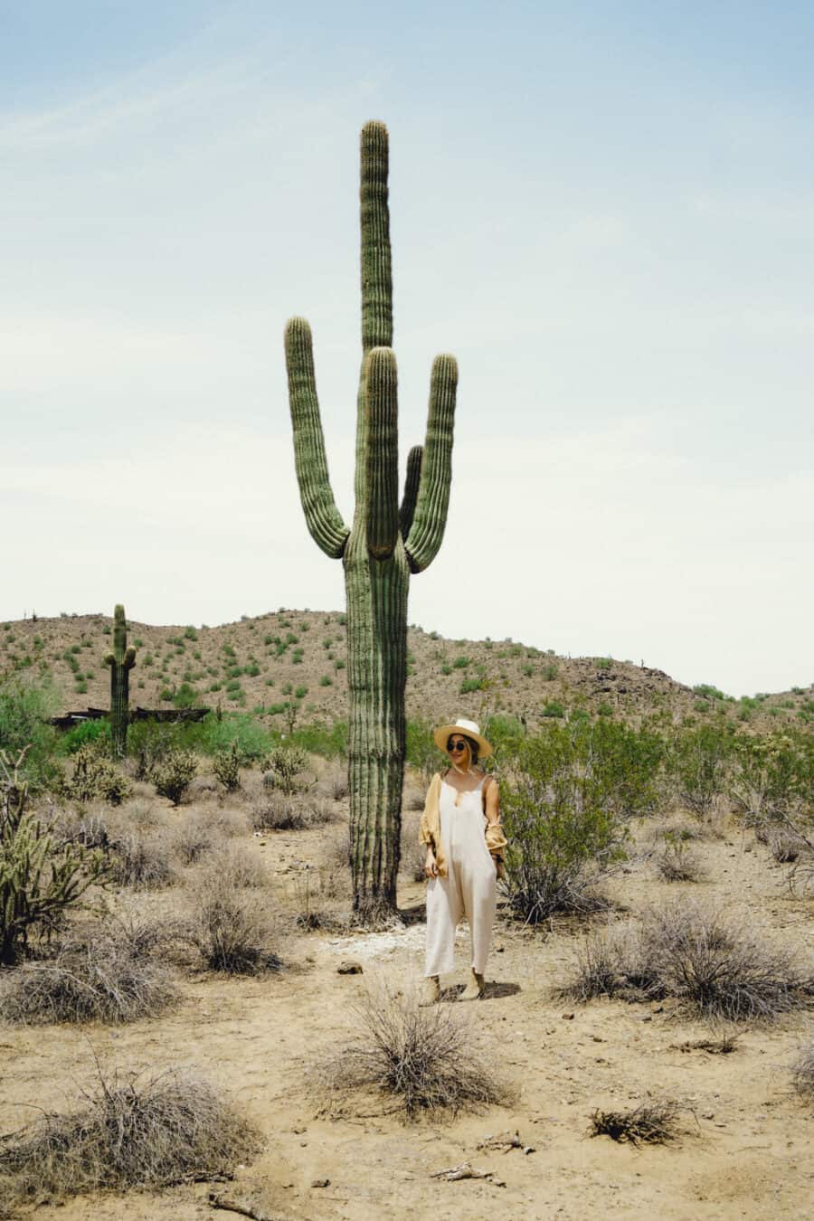 https://cocotran.com/best-places-to-visit-in-arizona/