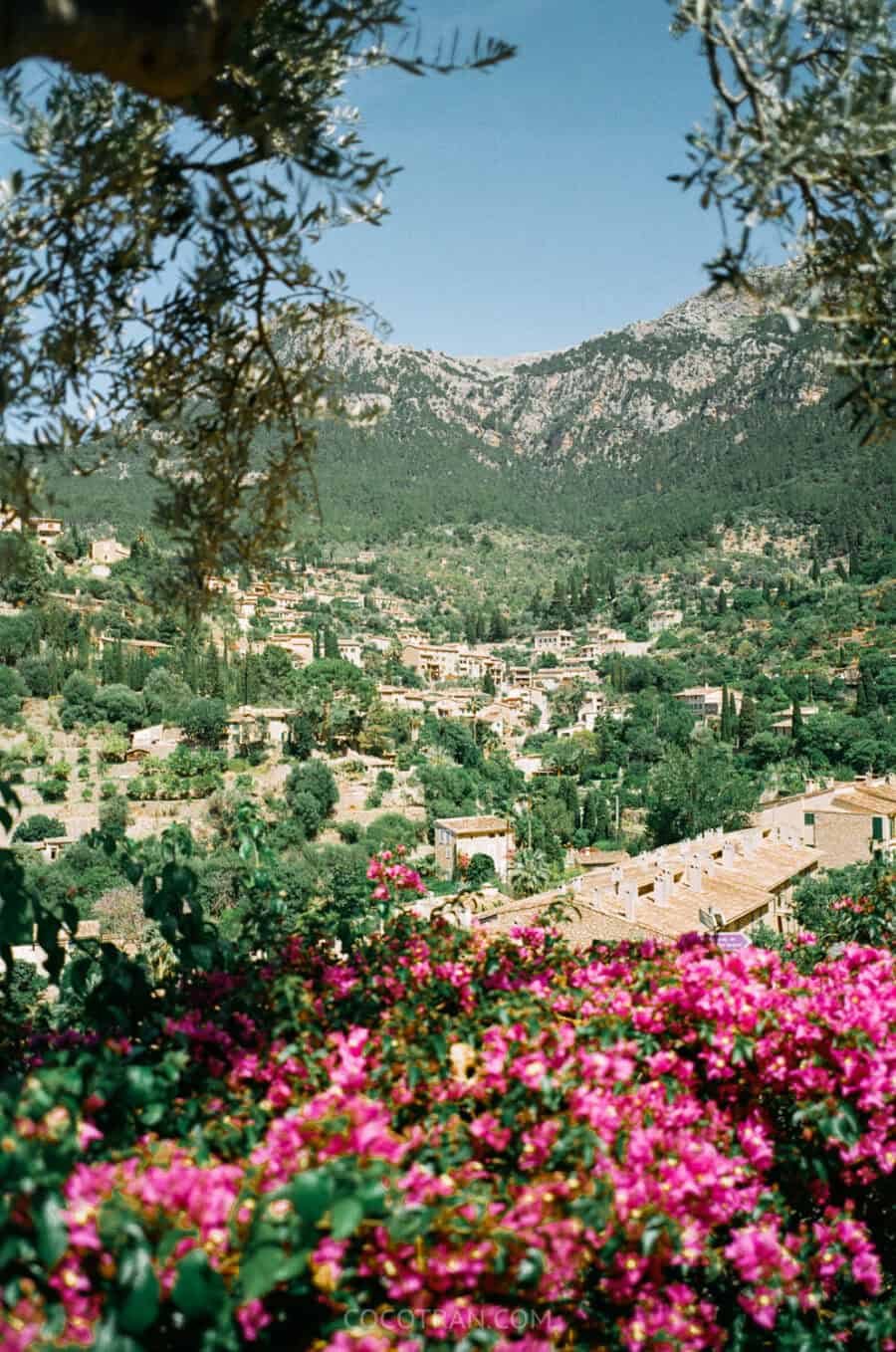 https://cocotran.com/deia-mallorca-spain/