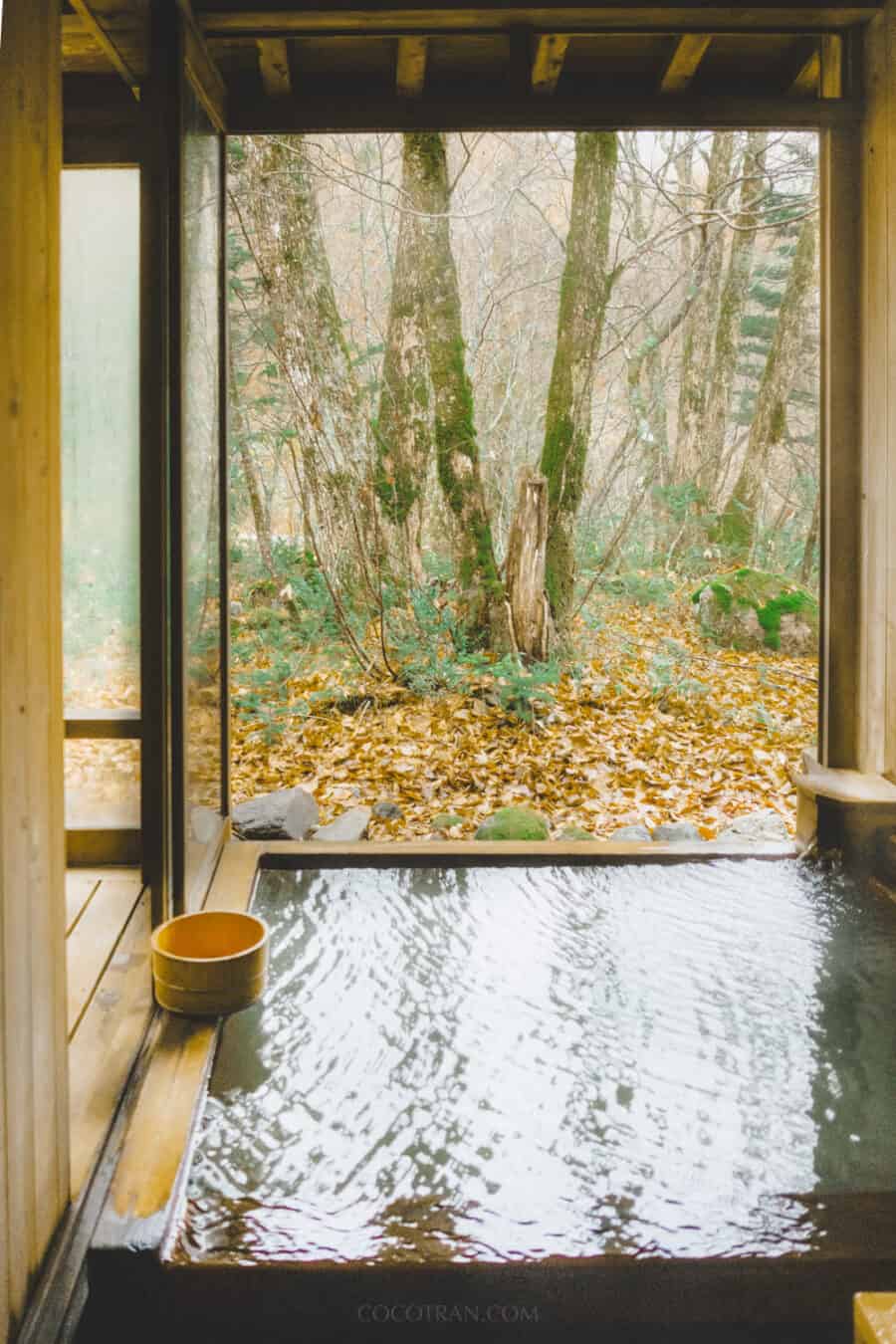 https://cocotran.com/things-to-do-in-hakone-japan/