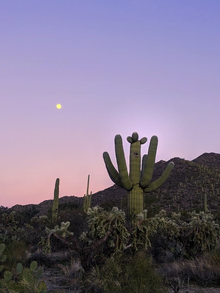 best places to visit in arizona