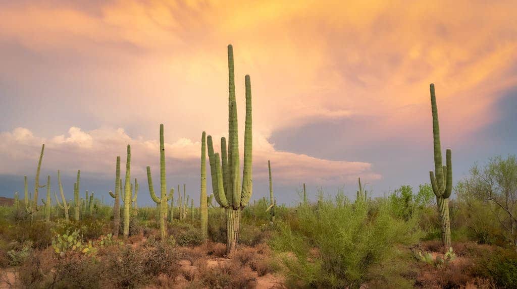 sedona best places to visit in arizona