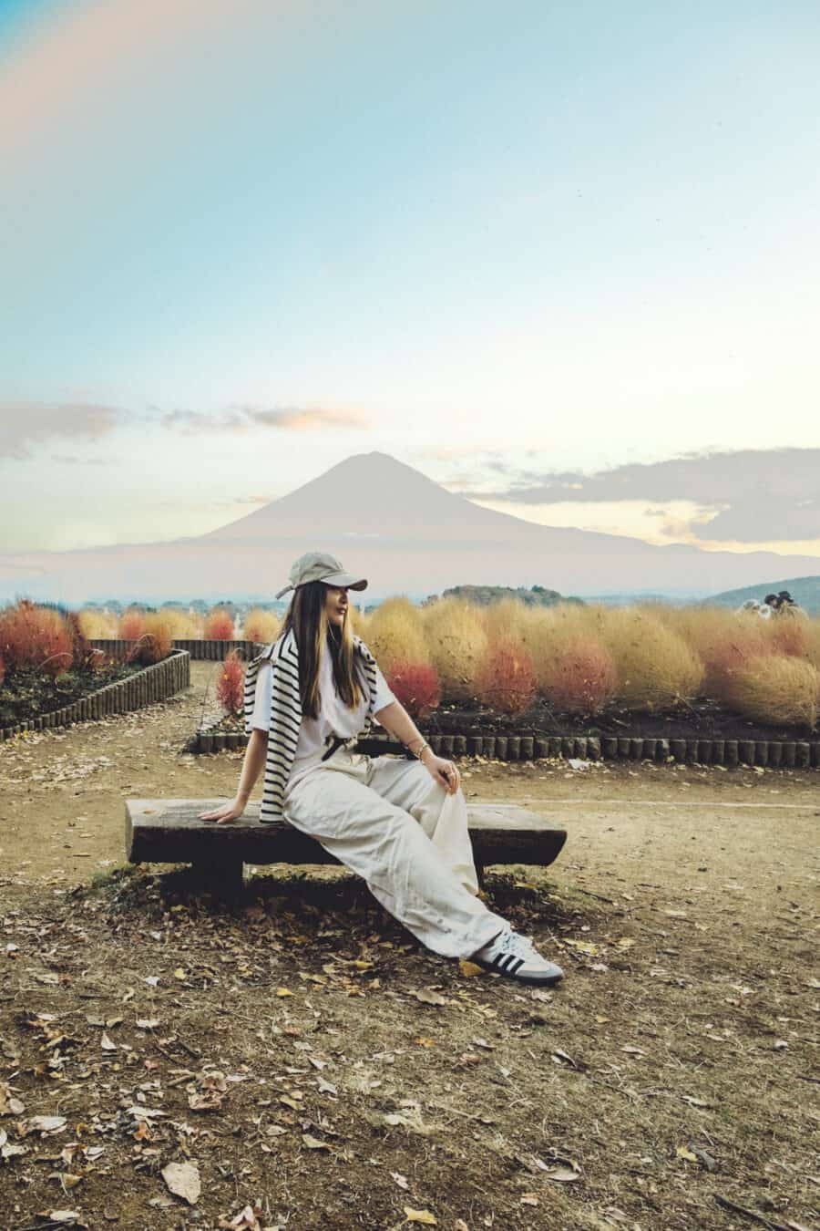 (2026) Travel Guide to Mt Fuji Oishi Park Japan https://cocotran.com/visiting-oishi-park-japan/