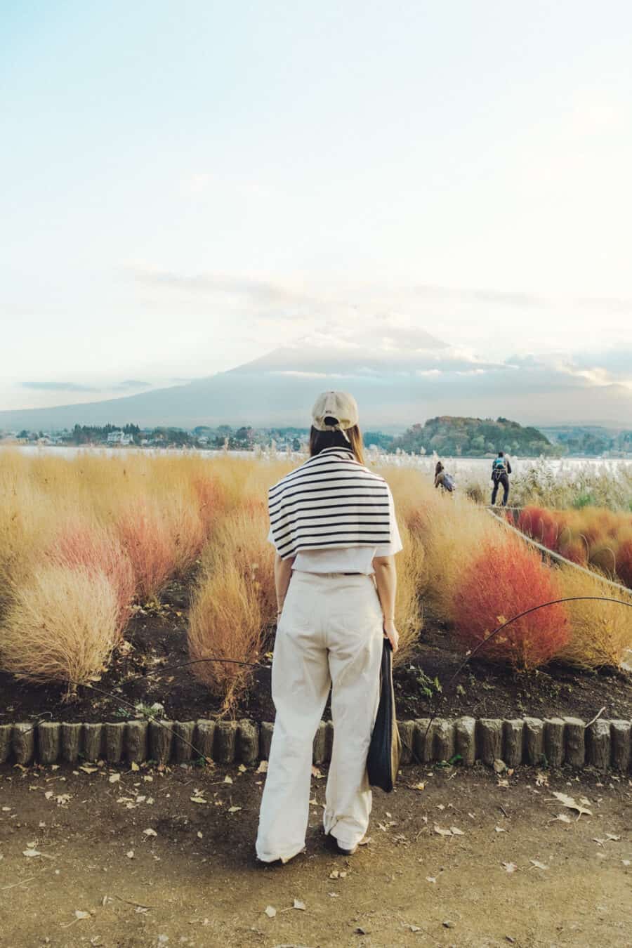(2026) Travel Guide to Mt Fuji Oishi Park Japan https://cocotran.com/visiting-oishi-park-japan/