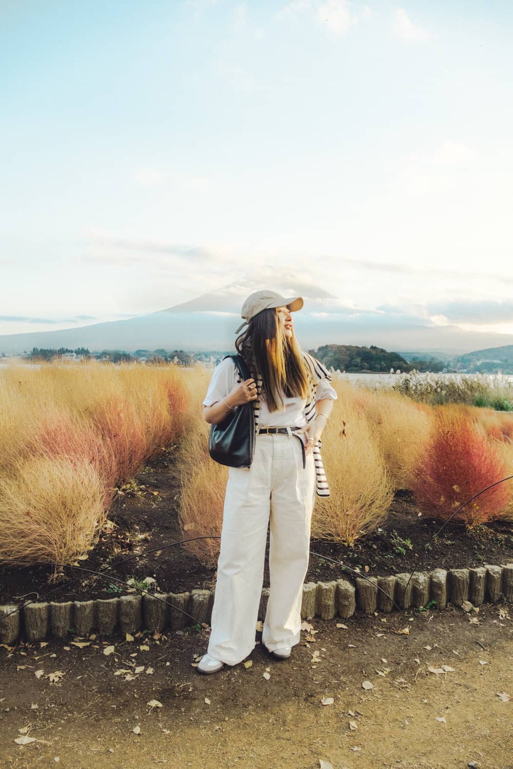 The Ultimate Guide to Visiting Oishi Park Japan For The Best View Of Mt Fuji