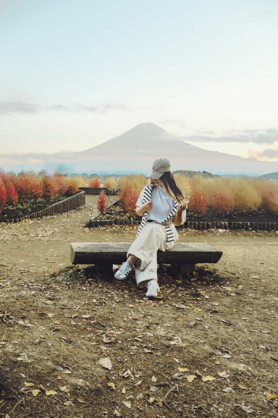 (2026) Travel Guide to Mt Fuji Oishi Park Japan https://cocotran.com/visiting-oishi-park-japan/