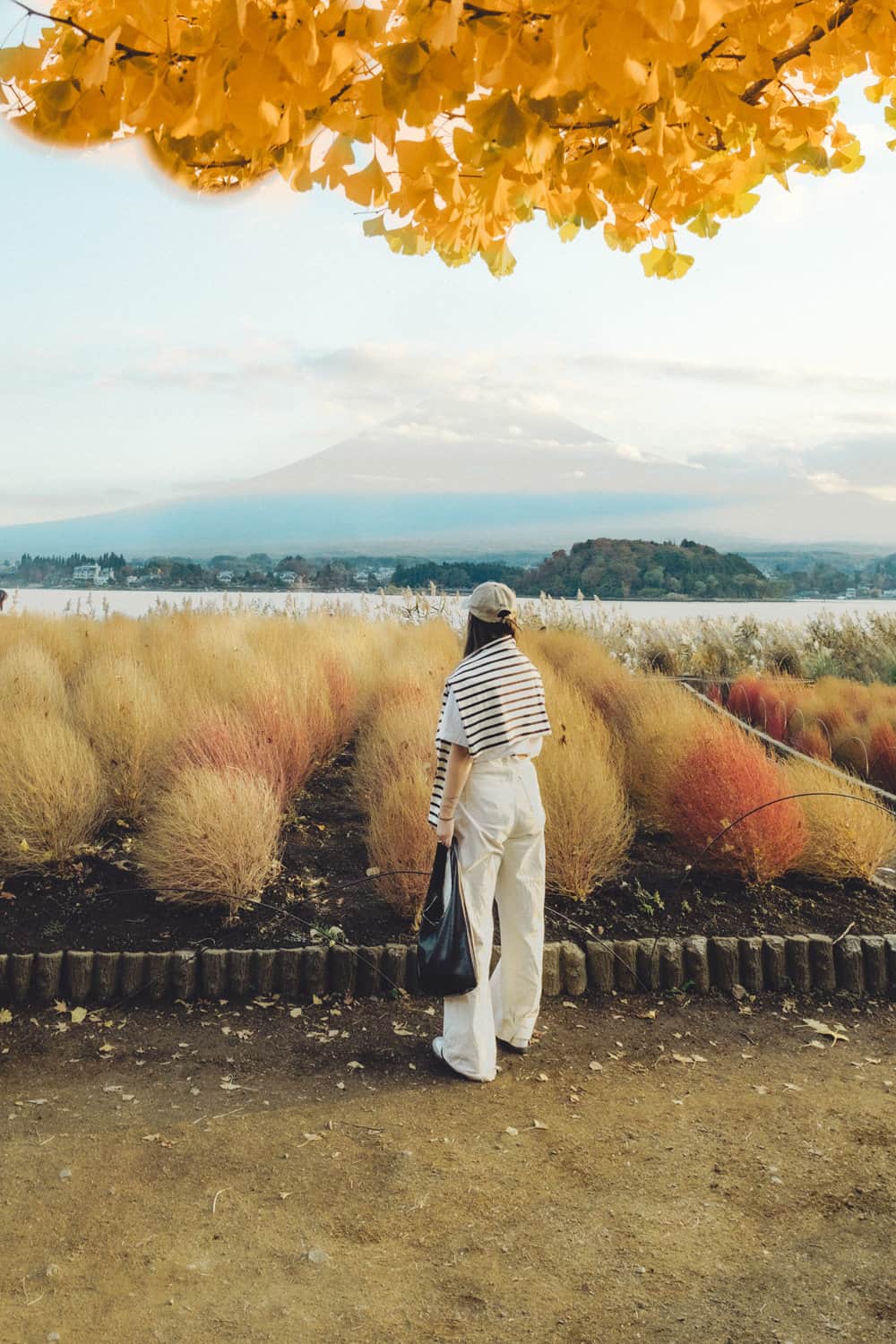 The Ultimate Guide to Fuji Day Trip From Tokyo