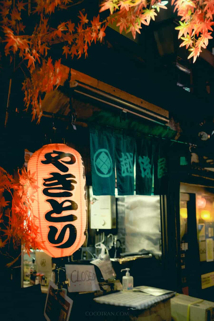 https://cocotran.com/unique-tokyo-streets-you-need-to-see/