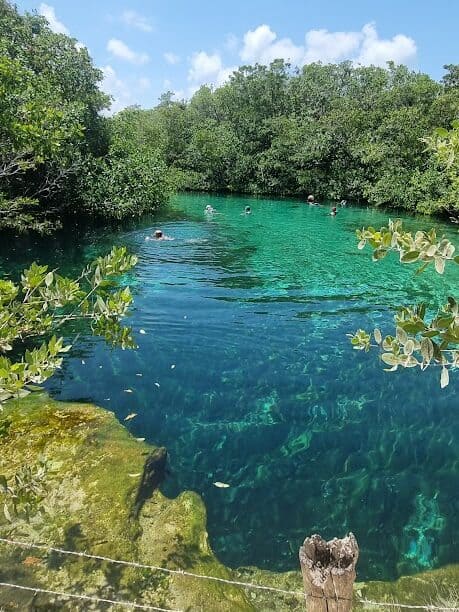 https://cocotran.com/tulum-cenotes/