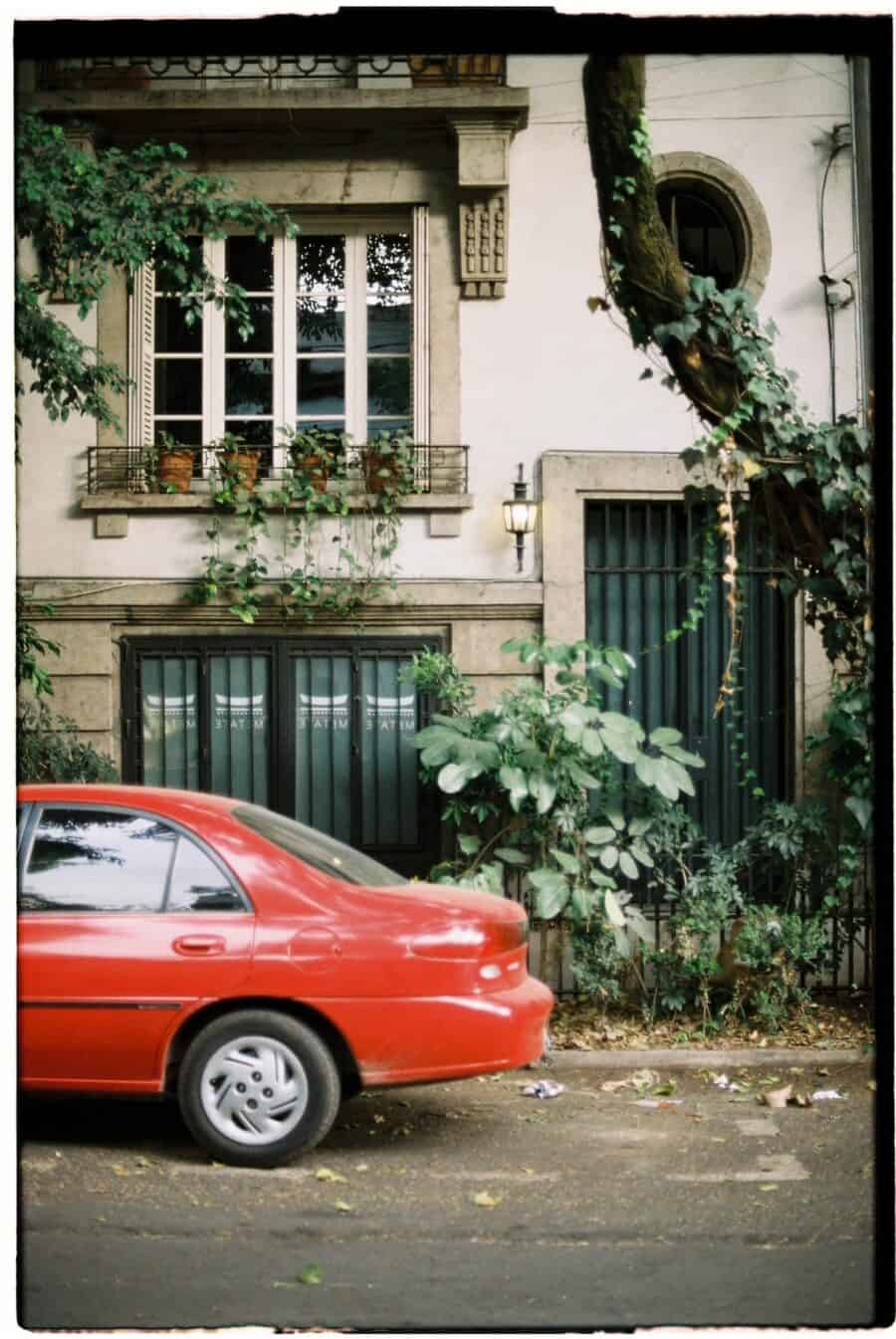 things to do in mexico city