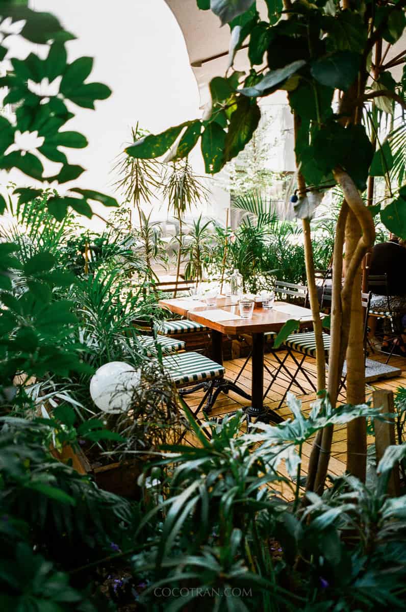 https://cocotran.com/3-day-mexico-city-itinerary/