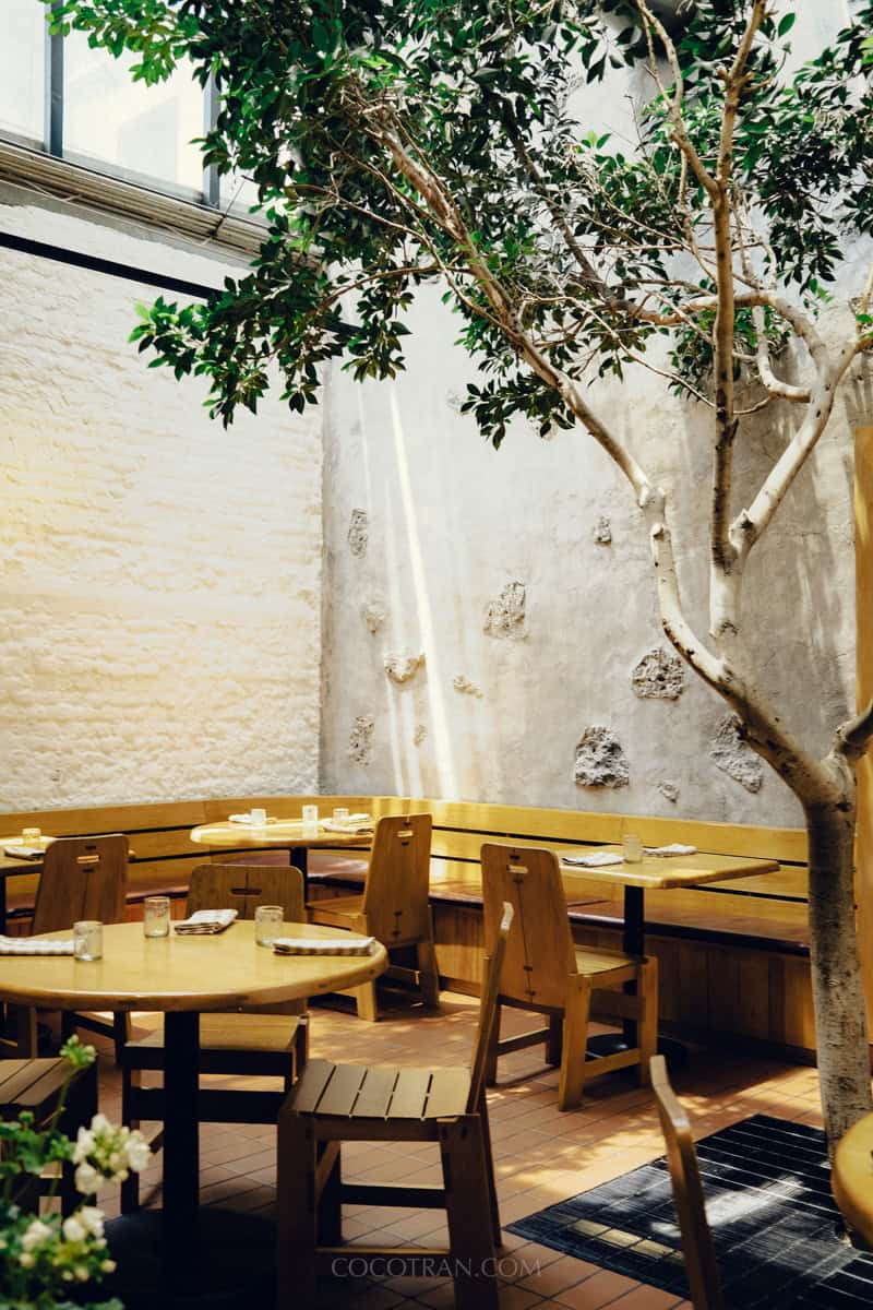 https://cocotran.com/3-day-mexico-city-itinerary/