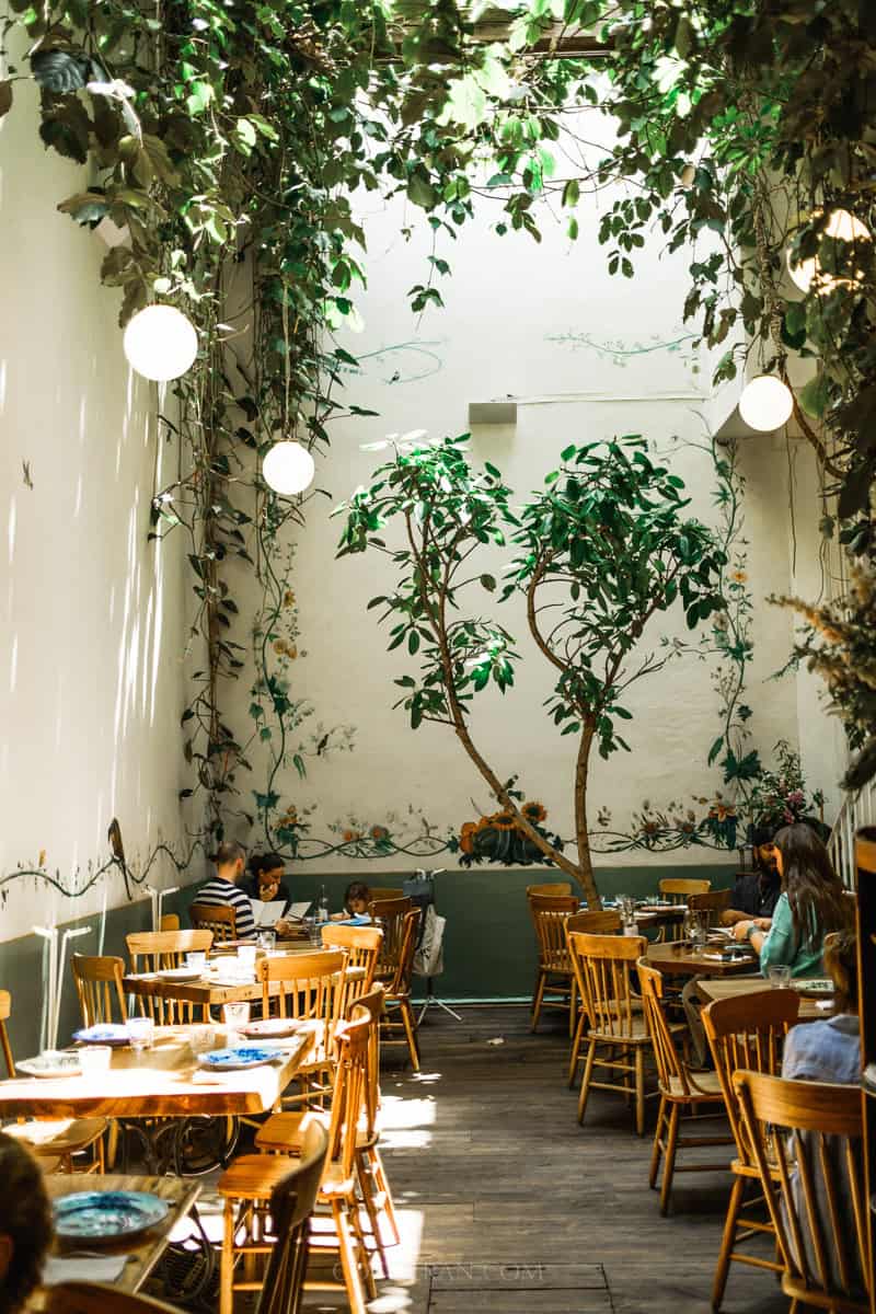 https://cocotran.com/3-day-mexico-city-itinerary/