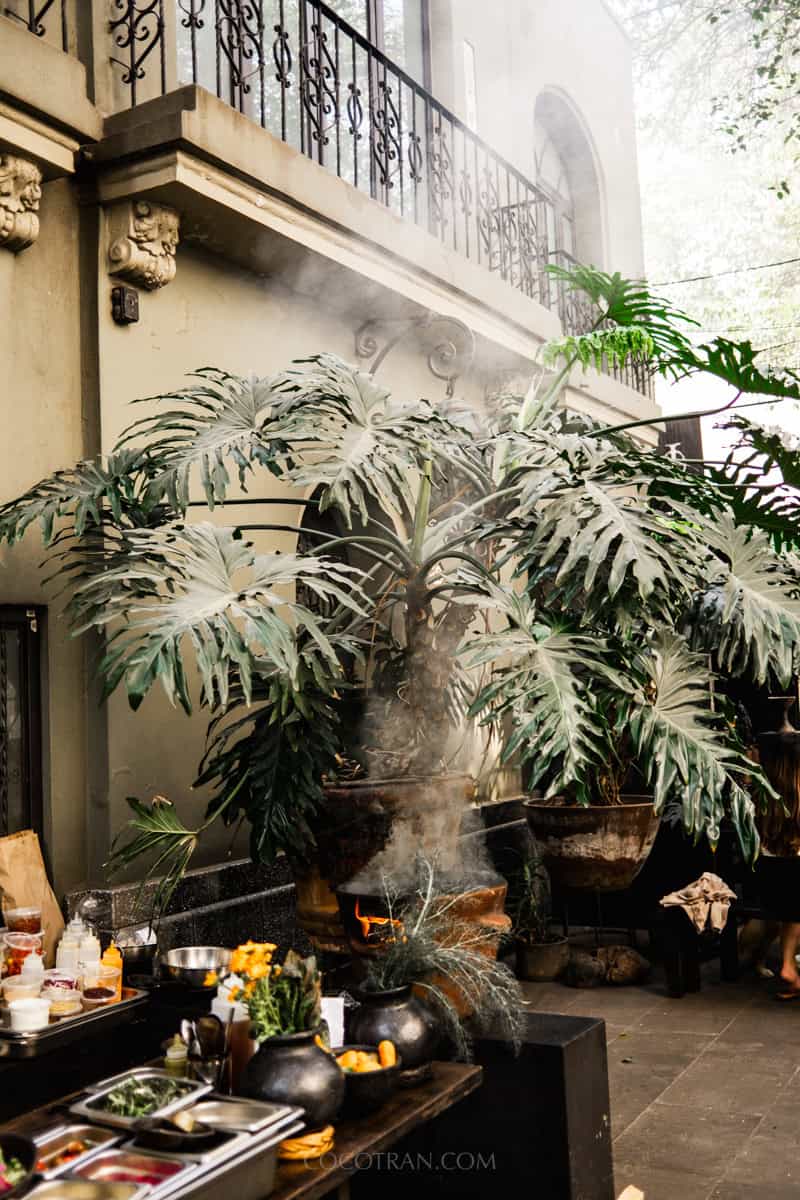 https://cocotran.com/mexico-city-5-day-itinerary/