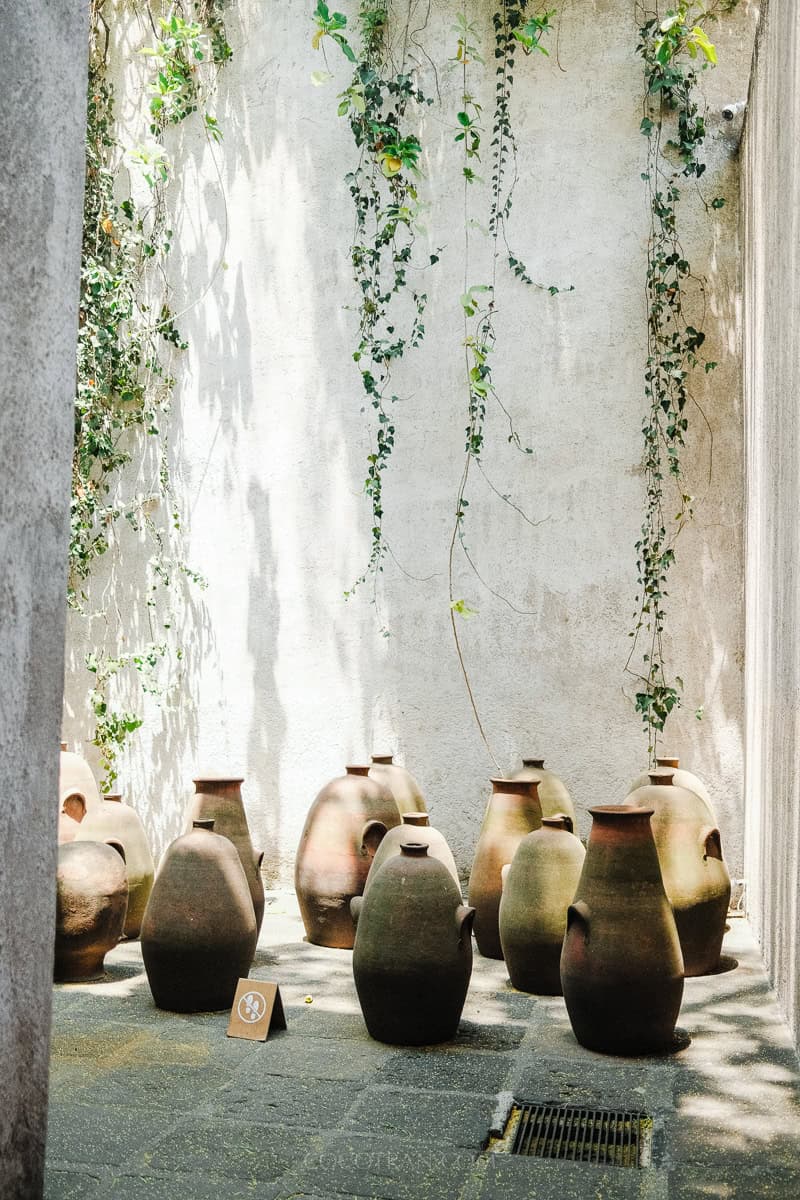 https://cocotran.com/mexico-city-5-day-itinerary/
