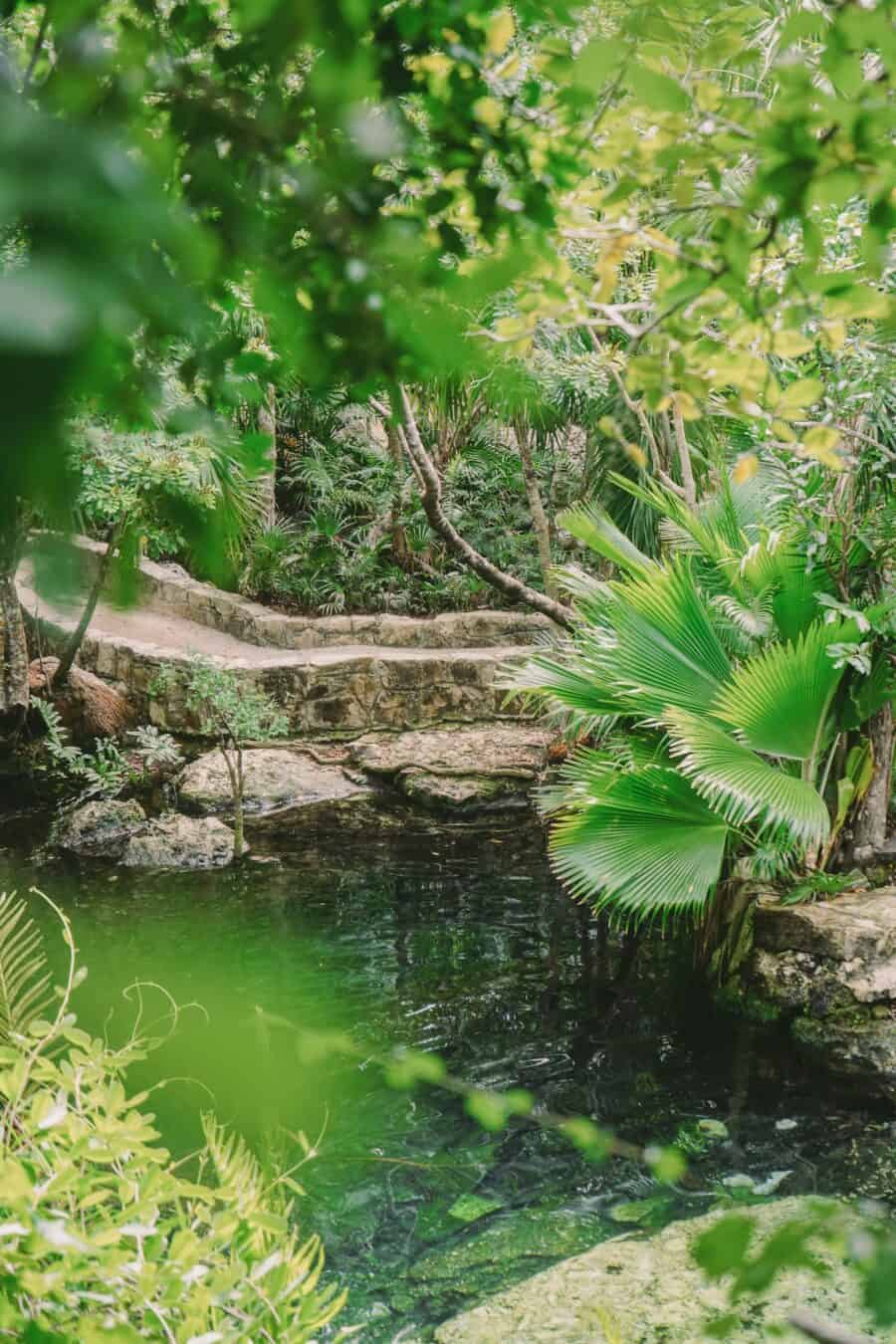 https://cocotran.com/tulum-cenotes/