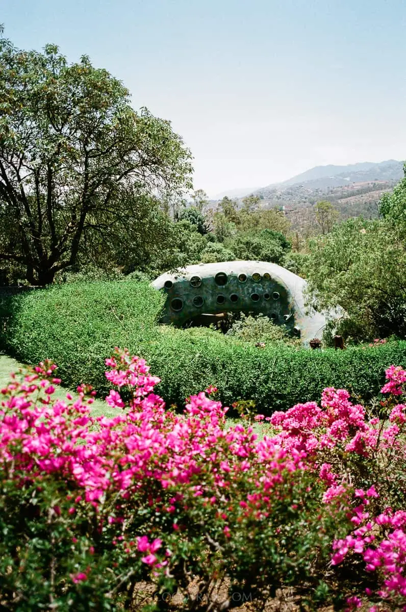 Javier Senosiain's mosaic serpent winding through pink bougainvillea at Parque Quetzalcóatl