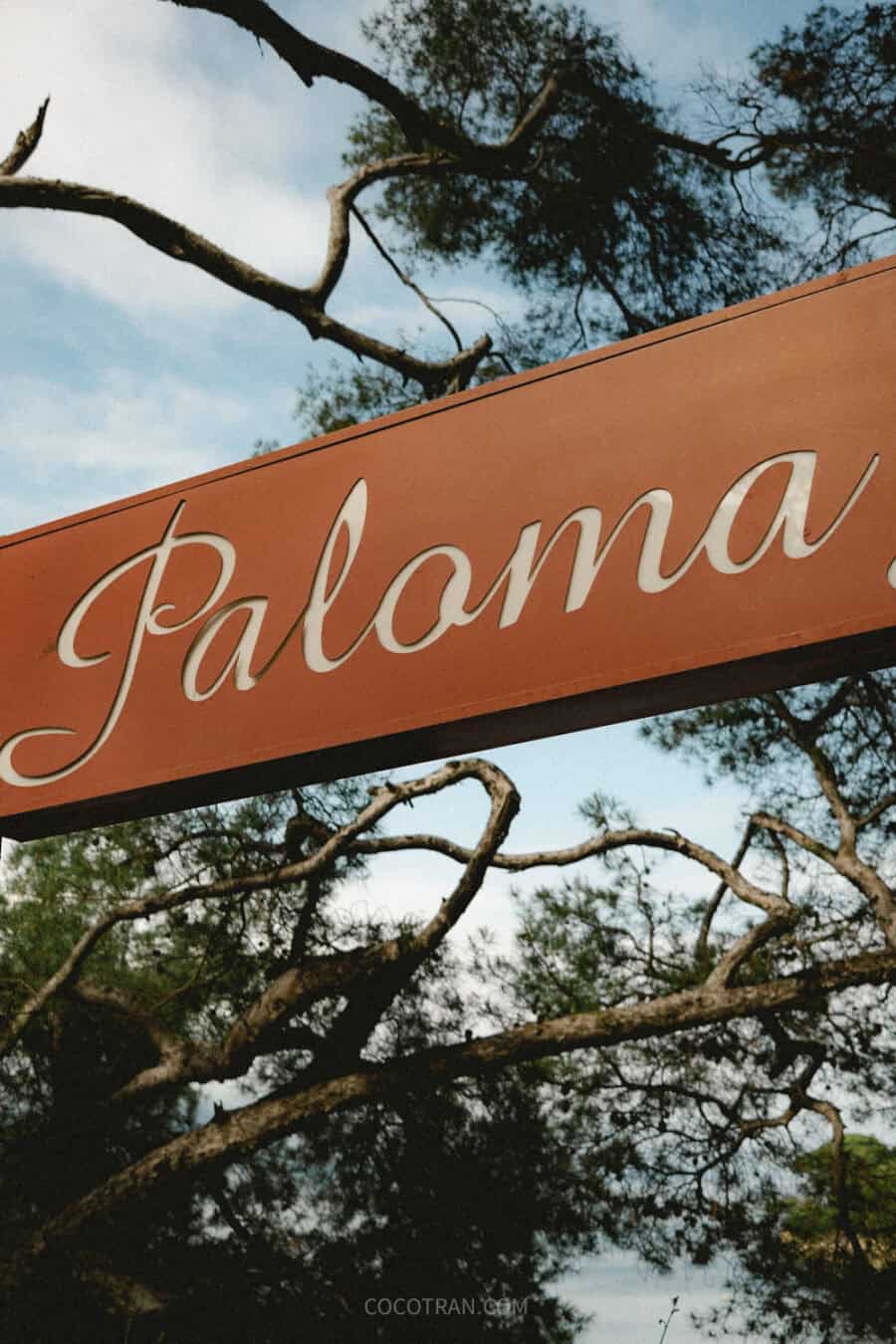 https://cocotran.com/paloma-beach-in-saint-jean-cap-ferrat-france/