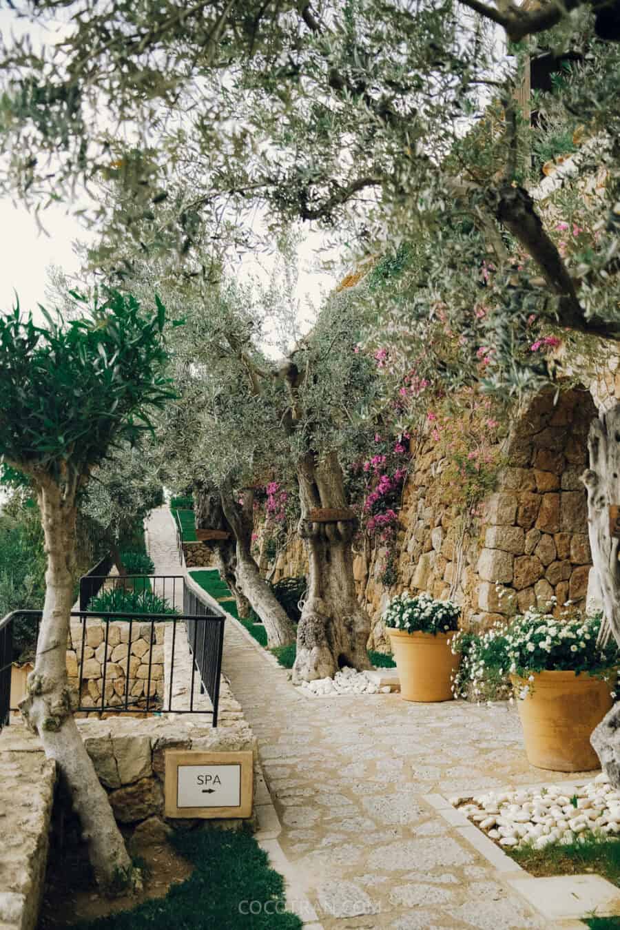 https://cocotran.com/deia-la-residencia/