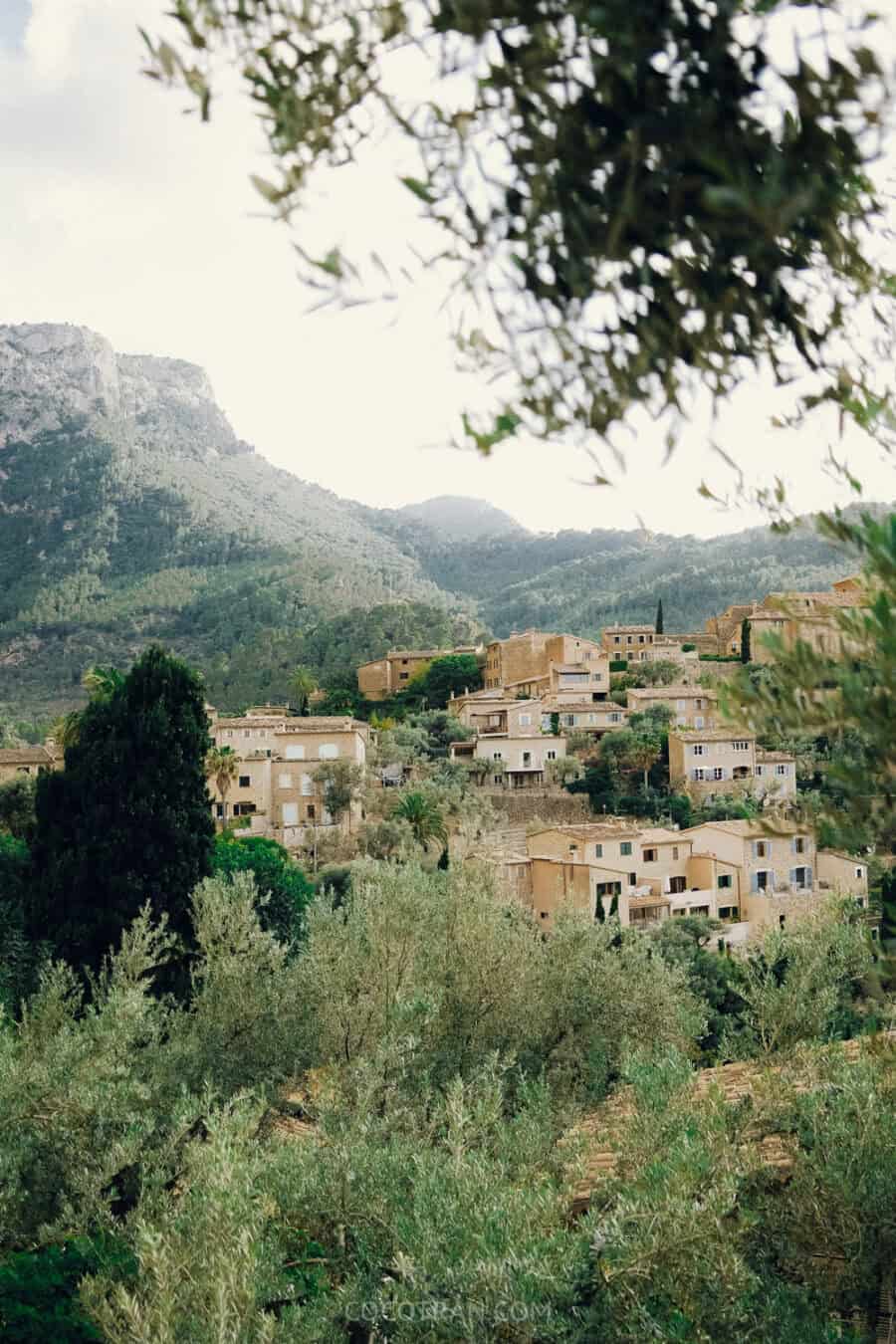https://cocotran.com/deia-la-residencia/