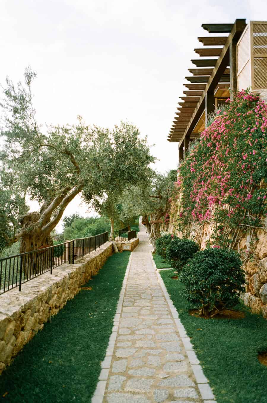 https://cocotran.com/deia-la-residencia/