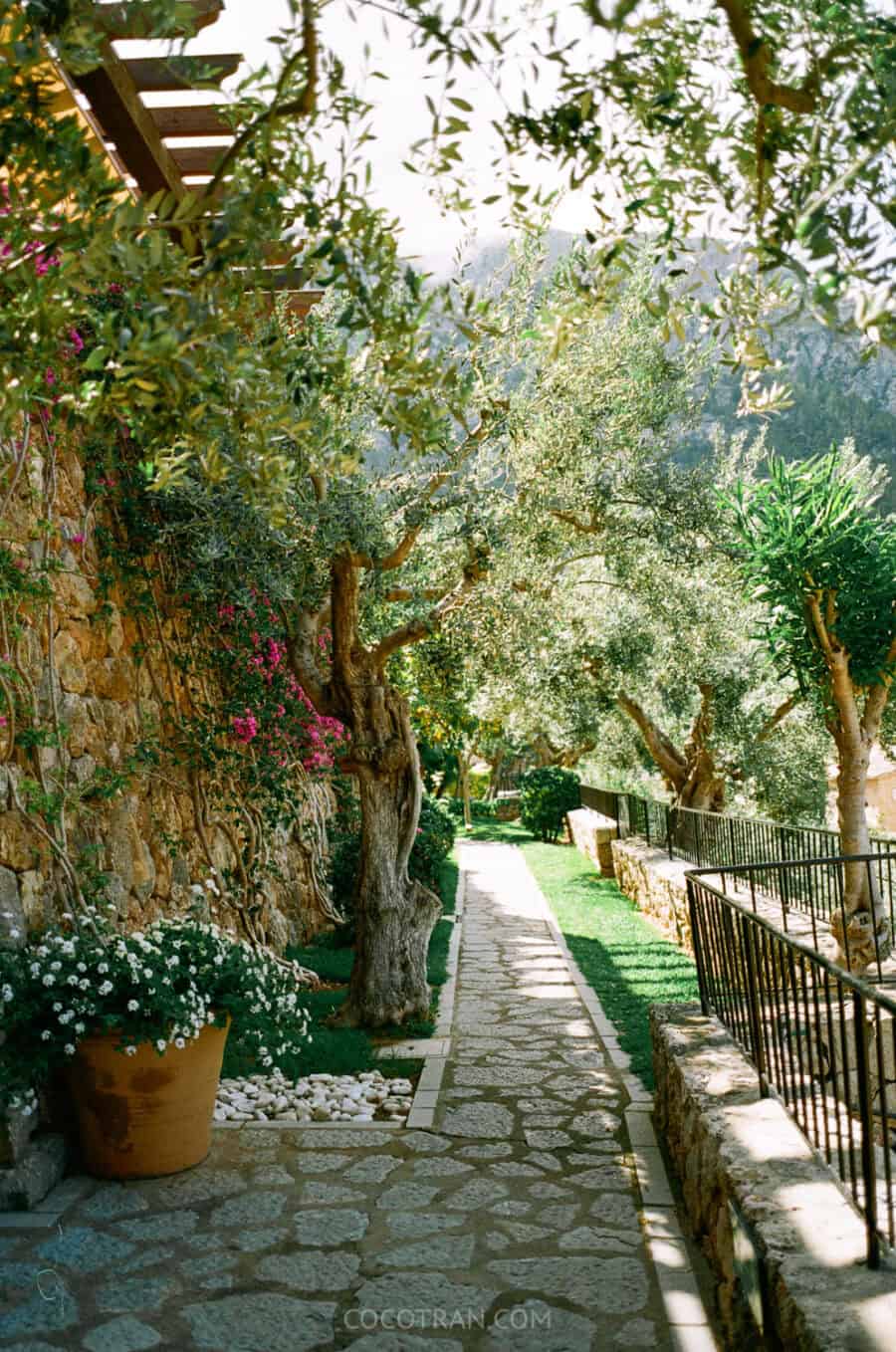 https://cocotran.com/deia-la-residencia/