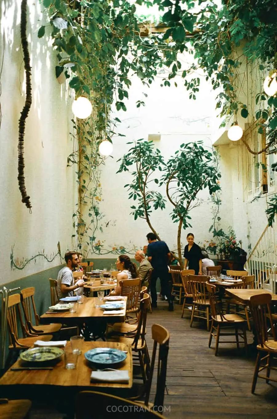 (2026) A Table At: Rosetta The dining room at Rosetta in Roma Norte, with a tree growing through it