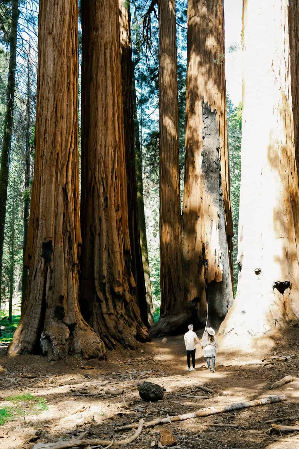 The Ultimate Yosemite to Sequoia National Park Road Trip & Itinerary